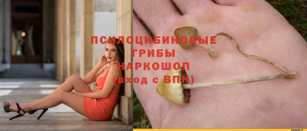 а пвп мука Абаза