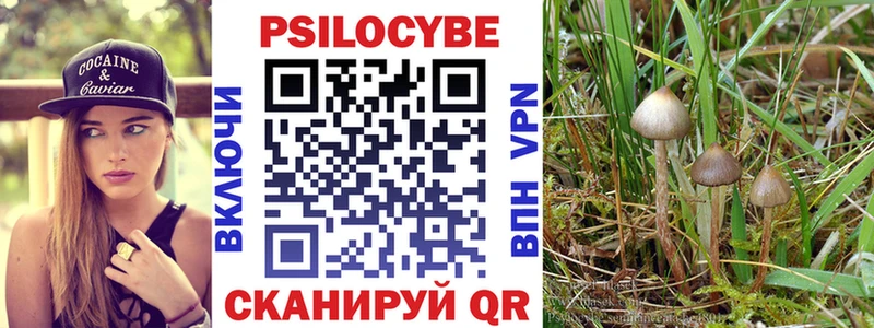 купить закладку Новосиль ОМГ ОМГ рабочий сайт Галлюциногенные грибы Cubensis